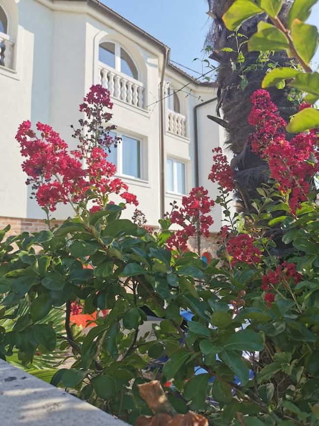 Casa Oasa -Accommodation , Pizzeria & Bar Marezige Zewnętrze zdjęcie